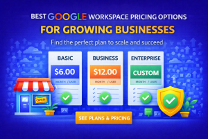 Best Google Workspace pricing options for growing businesses with a trusted Google Workspace reseller in Delhi